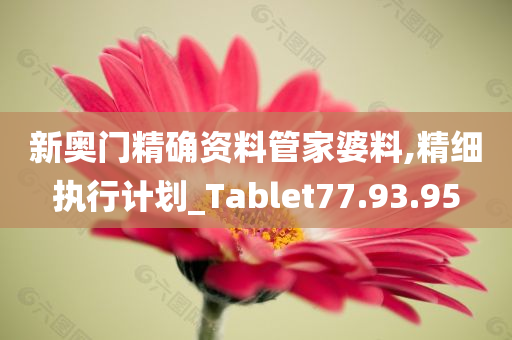 新奥门精确资料管家婆料,精细执行计划_Tablet77.93.95