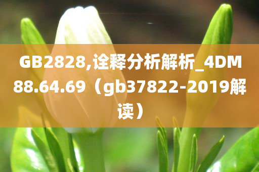 GB2828,诠释分析解析_4DM88.64.69（gb37822-2019解读）