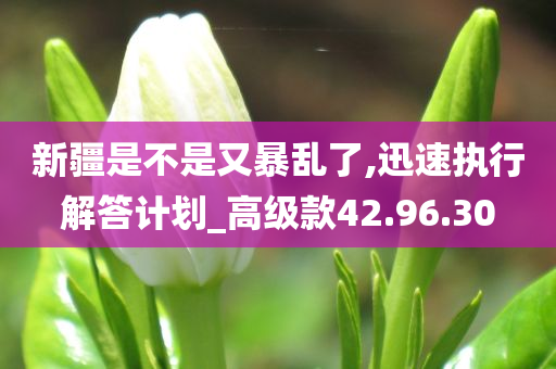 新疆是不是又暴乱了,迅速执行解答计划_高级款42.96.30