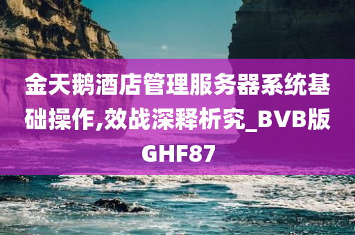 金天鹅酒店管理服务器系统基础操作,效战深释析究_BVB版GHF87