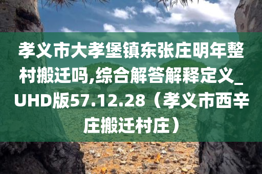 孝义市大孝堡镇东张庄明年整村搬迁吗,综合解答解释定义_UHD版57.12.28（孝义市西辛庄搬迁村庄）