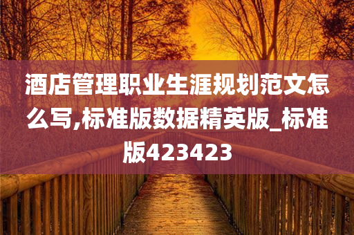 酒店管理职业生涯规划范文怎么写,标准版数据精英版_标准版423423