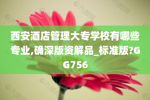 西安酒店管理大专学校有哪些专业,确深版资解品_标准版?GG756