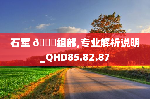 石军 🀄组部,专业解析说明_QHD85.82.87