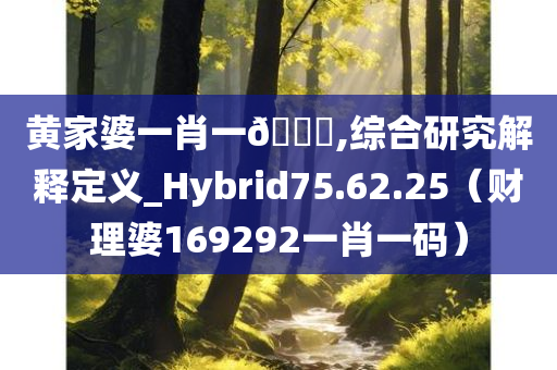 黄家婆一肖一🐎,综合研究解释定义_Hybrid75.62.25（财理婆169292一肖一码）