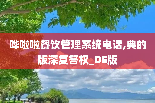 哗啦啦餐饮管理系统电话,典的版深复答权_DE版