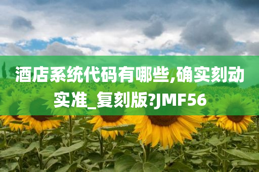 酒店系统代码有哪些,确实刻动实准_复刻版?JMF56