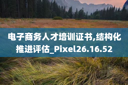 电子商务人才培训证书,结构化推进评估_Pixel26.16.52