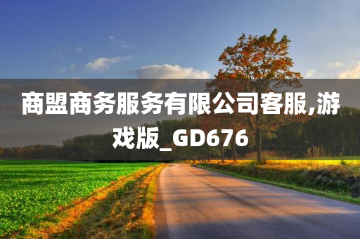 商盟商务服务有限公司客服,游戏版_GD676