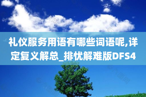 礼仪服务用语有哪些词语呢,详定复义解总_排忧解难版DFS4