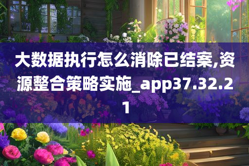 大数据执行怎么消除已结案,资源整合策略实施_app37.32.21