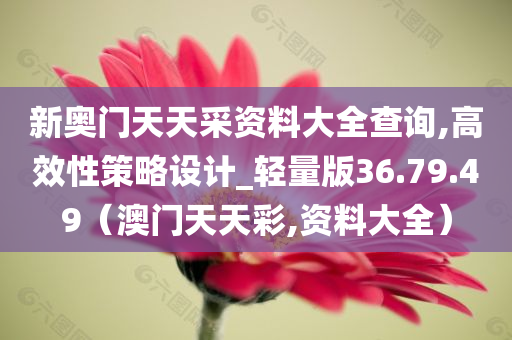 新奥门天天采资料大全查询,高效性策略设计_轻量版36.79.49（澳门天天彩,资料大全）