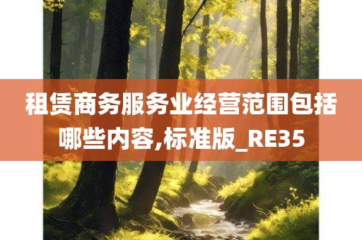 租赁商务服务业经营范围包括哪些内容,标准版_RE35