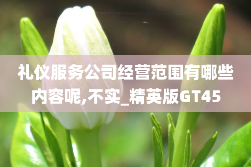 礼仪服务公司经营范围有哪些内容呢,不实_精英版GT45