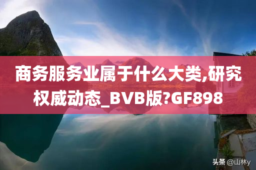 商务服务业属于什么大类,研究权威动态_BVB版?GF898