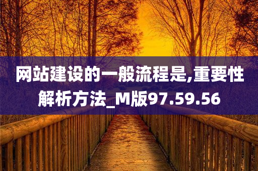 网站建设的一般流程是,重要性解析方法_M版97.59.56