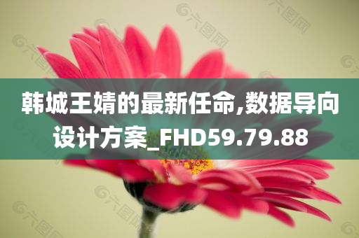 韩城王婧的最新任命,数据导向设计方案_FHD59.79.88