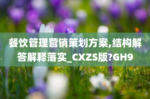 餐饮管理营销策划方案,结构解答解释落实_CXZS版?GH9