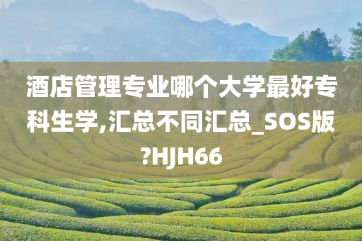 酒店管理专业哪个大学最好专科生学,汇总不同汇总_SOS版?HJH66