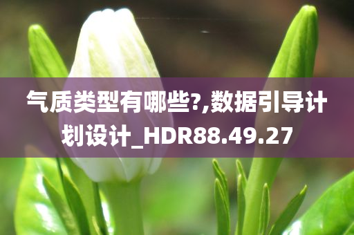 气质类型有哪些?,数据引导计划设计_HDR88.49.27