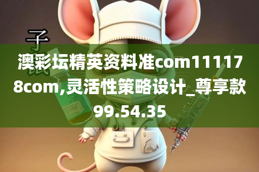 澳彩坛精英资料准com111178com,灵活性策略设计_尊享款99.54.35