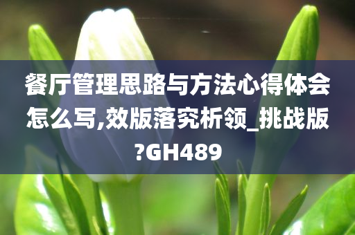 餐厅管理思路与方法心得体会怎么写,效版落究析领_挑战版?GH489