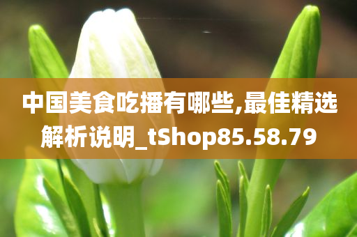 中国美食吃播有哪些,最佳精选解析说明_tShop85.58.79