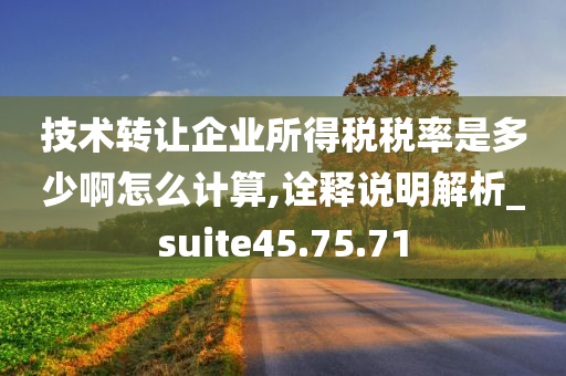 技术转让企业所得税税率是多少啊怎么计算,诠释说明解析_suite45.75.71