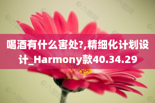 喝酒有什么害处?,精细化计划设计_Harmony款40.34.29