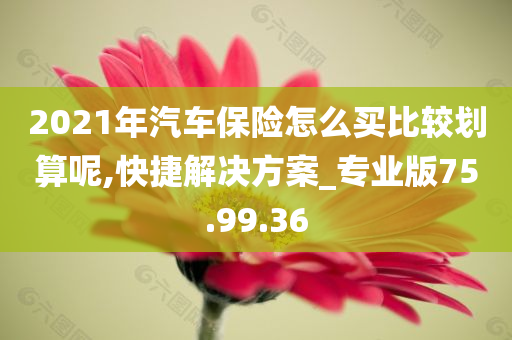 2021年汽车保险怎么买比较划算呢,快捷解决方案_专业版75.99.36