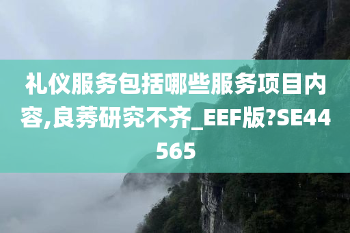 礼仪服务包括哪些服务项目内容,良莠研究不齐_EEF版?SE44565