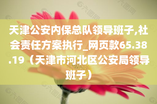 天津公安内保总队领导班子,社会责任方案执行_网页款65.38.19（天津市河北区公安局领导班子）