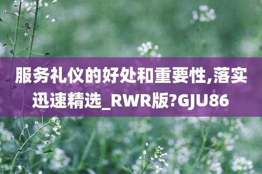 服务礼仪的好处和重要性,落实迅速精选_RWR版?GJU86