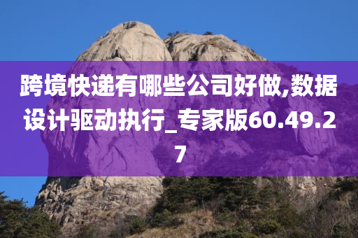 跨境快递有哪些公司好做,数据设计驱动执行_专家版60.49.27