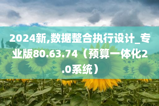 2024新,数据整合执行设计_专业版80.63.74（预算一体化2.0系统）