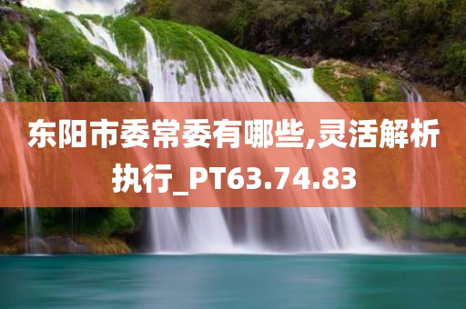 东阳市委常委有哪些,灵活解析执行_PT63.74.83