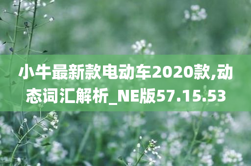 小牛最新款电动车2020款,动态词汇解析_NE版57.15.53