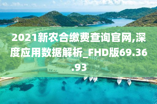 2021新农合缴费查询官网,深度应用数据解析_FHD版69.36.93