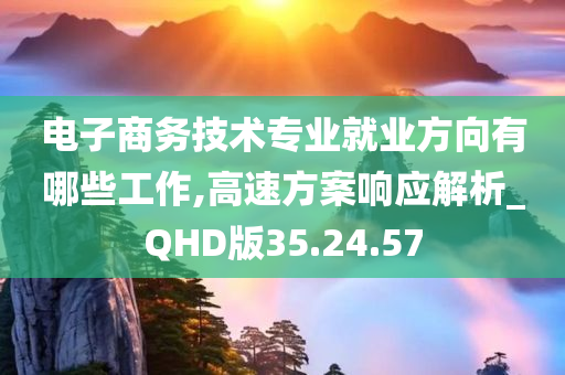 电子商务技术专业就业方向有哪些工作,高速方案响应解析_QHD版35.24.57