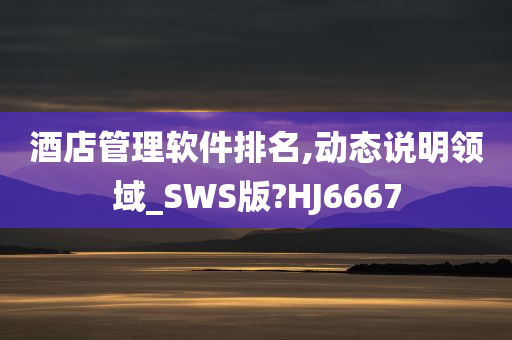 酒店管理软件排名,动态说明领域_SWS版?HJ6667