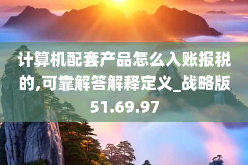 计算机配套产品怎么入账报税的,可靠解答解释定义_战略版51.69.97