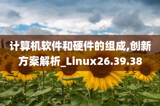 计算机软件和硬件的组成,创新方案解析_Linux26.39.38