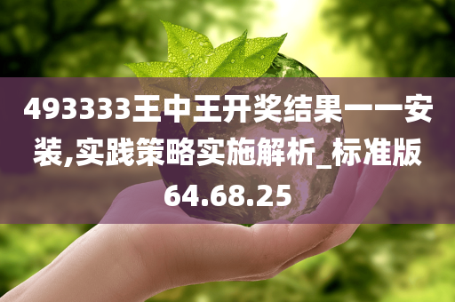 493333王中王开奖结果一一安装,实践策略实施解析_标准版64.68.25