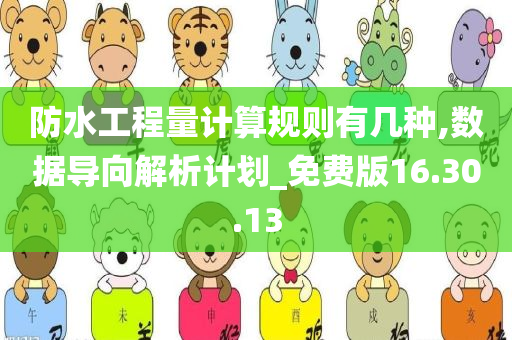 防水工程量计算规则有几种,数据导向解析计划_免费版16.30.13