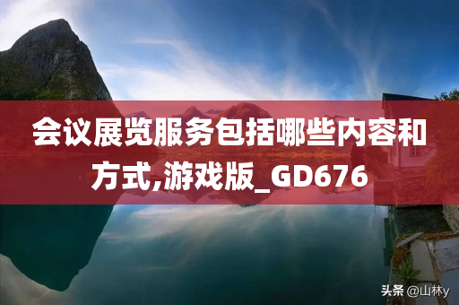 会议展览服务包括哪些内容和方式,游戏版_GD676