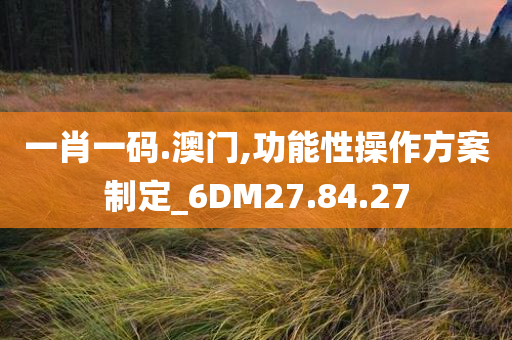 一肖一码.澳门,功能性操作方案制定_6DM27.84.27