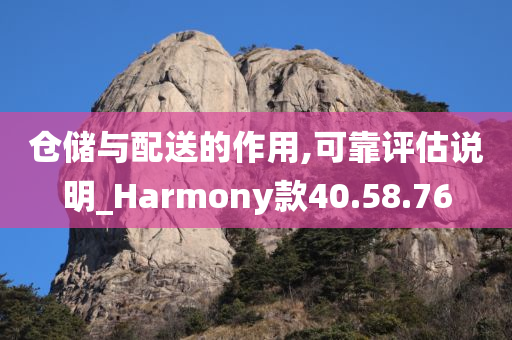 仓储与配送的作用,可靠评估说明_Harmony款40.58.76