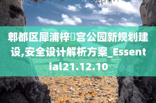 郫都区犀浦梓橦宫公园新规划建设,安全设计解析方案_Essential21.12.10