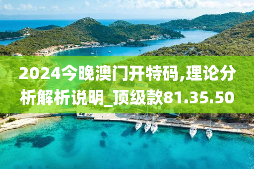 2024今晚澳门开特码,理论分析解析说明_顶级款81.35.50