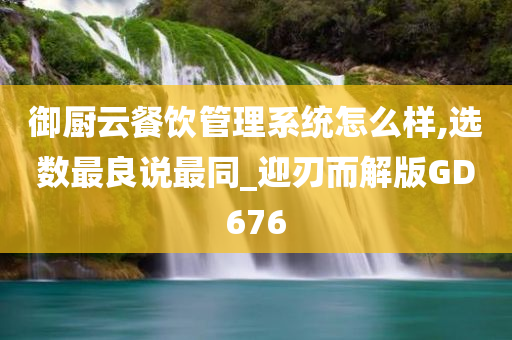 御厨云餐饮管理系统怎么样,选数最良说最同_迎刃而解版GD676